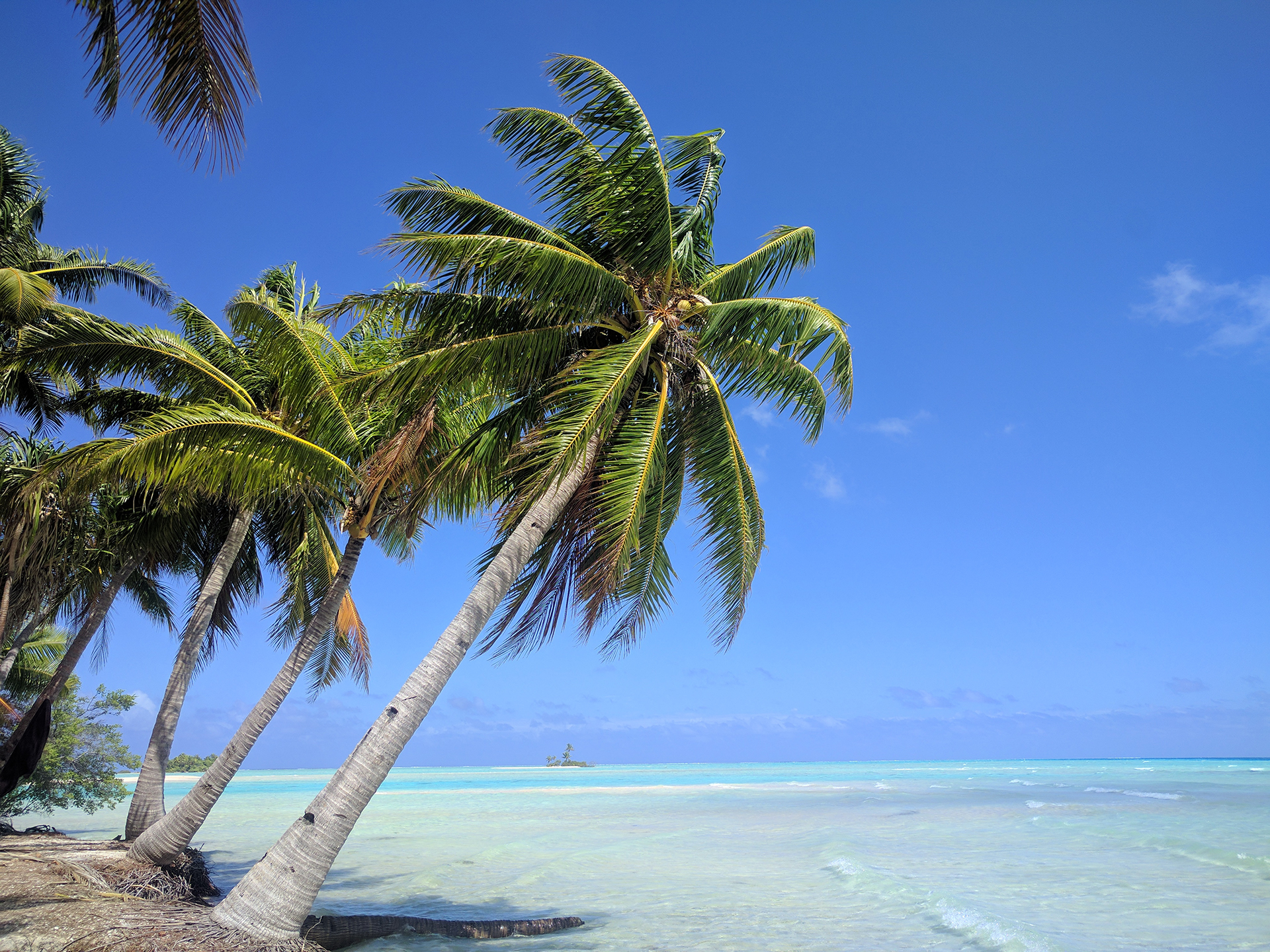 Paradiesische Inselwelt von Französisch-Polynesien