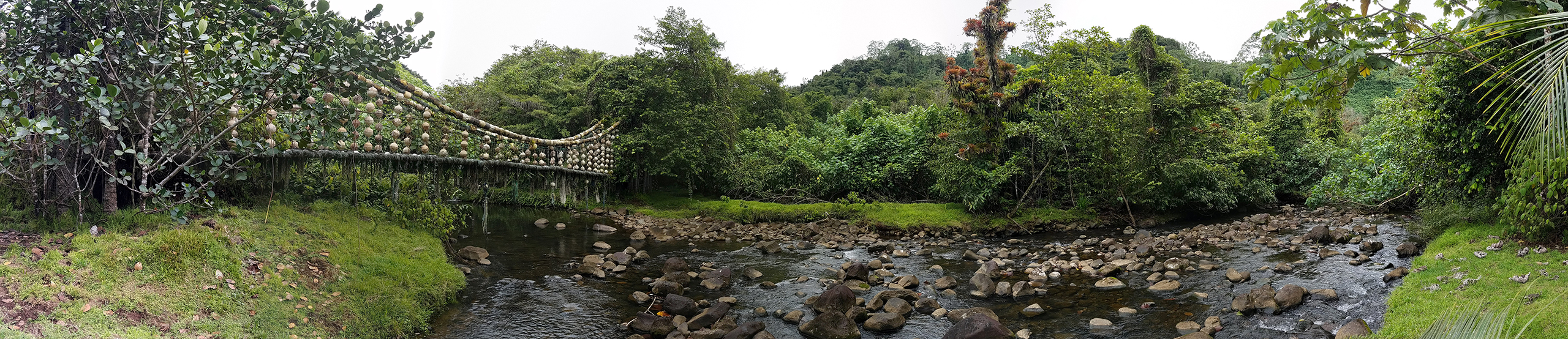 Fluss und Brücke auf Cocos Island